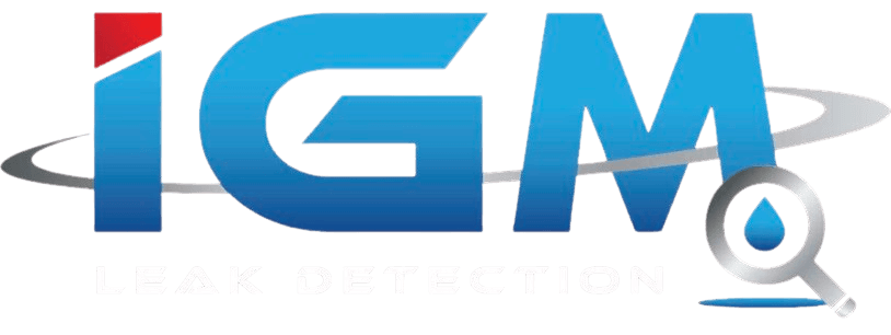 IGM Leak Detection